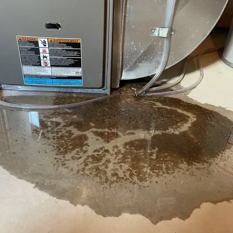 Appliance Leak Cleanup in Vardaman, MS